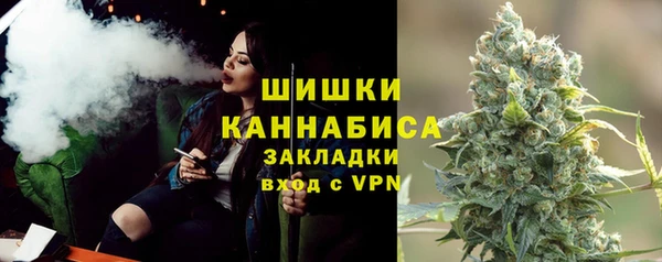 дживик Заводоуковск