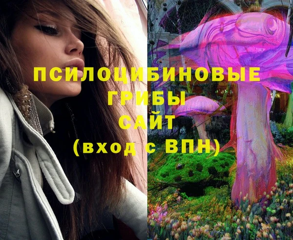 сатива Зерноград